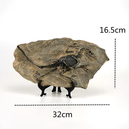Realistic Dinosaur Fossil Ornaments