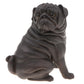 Realistic Black Pug Figurine