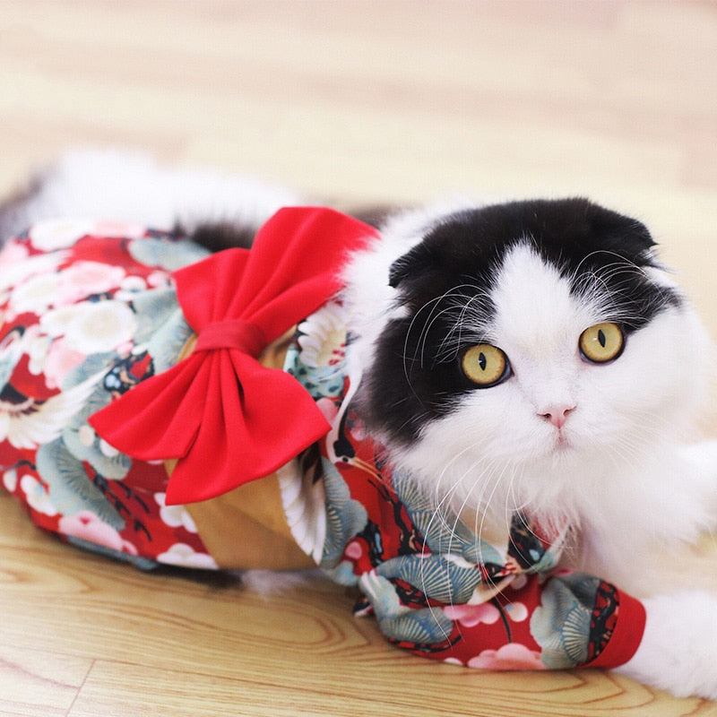 Kimono Costumes for pets