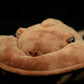 Realistic Horseshoe Crab Plushie