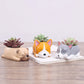 Cute Dog Planters (with drainage hole)