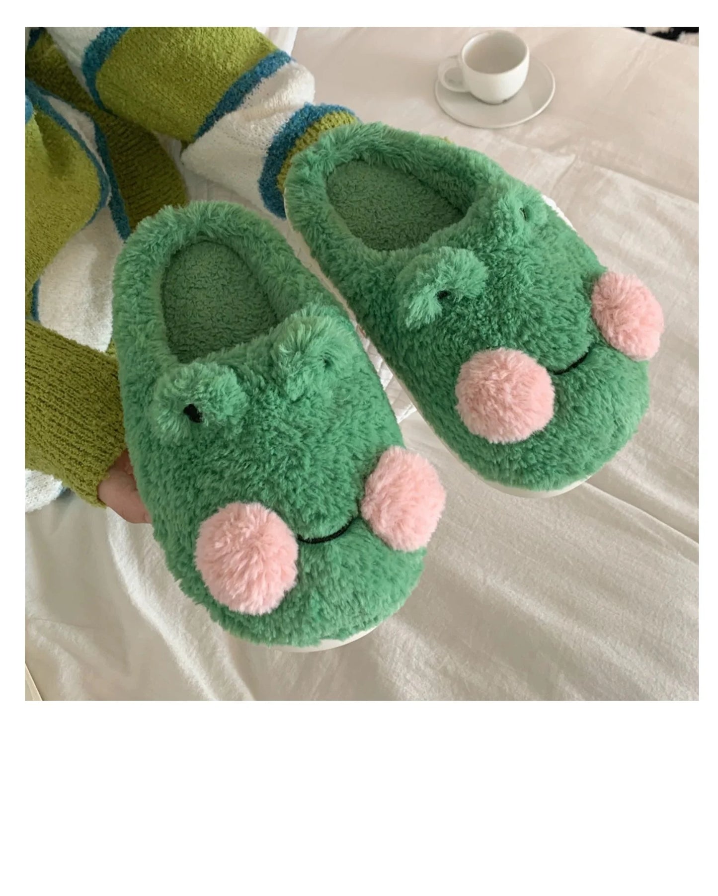 Cozy Frog Indoor Slippers / Shoes