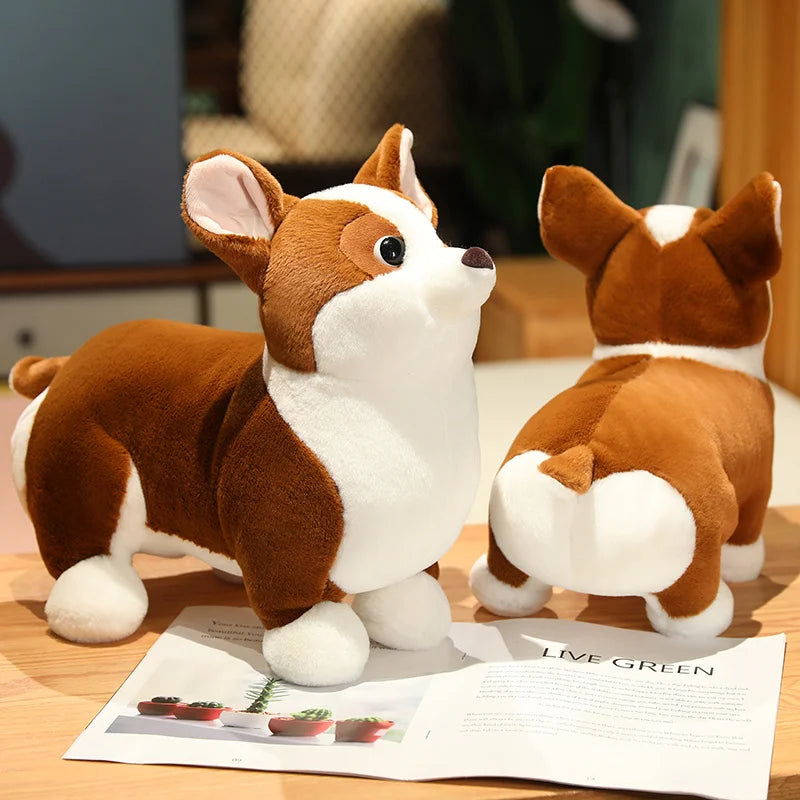 The Corgi Family - Soft plushies