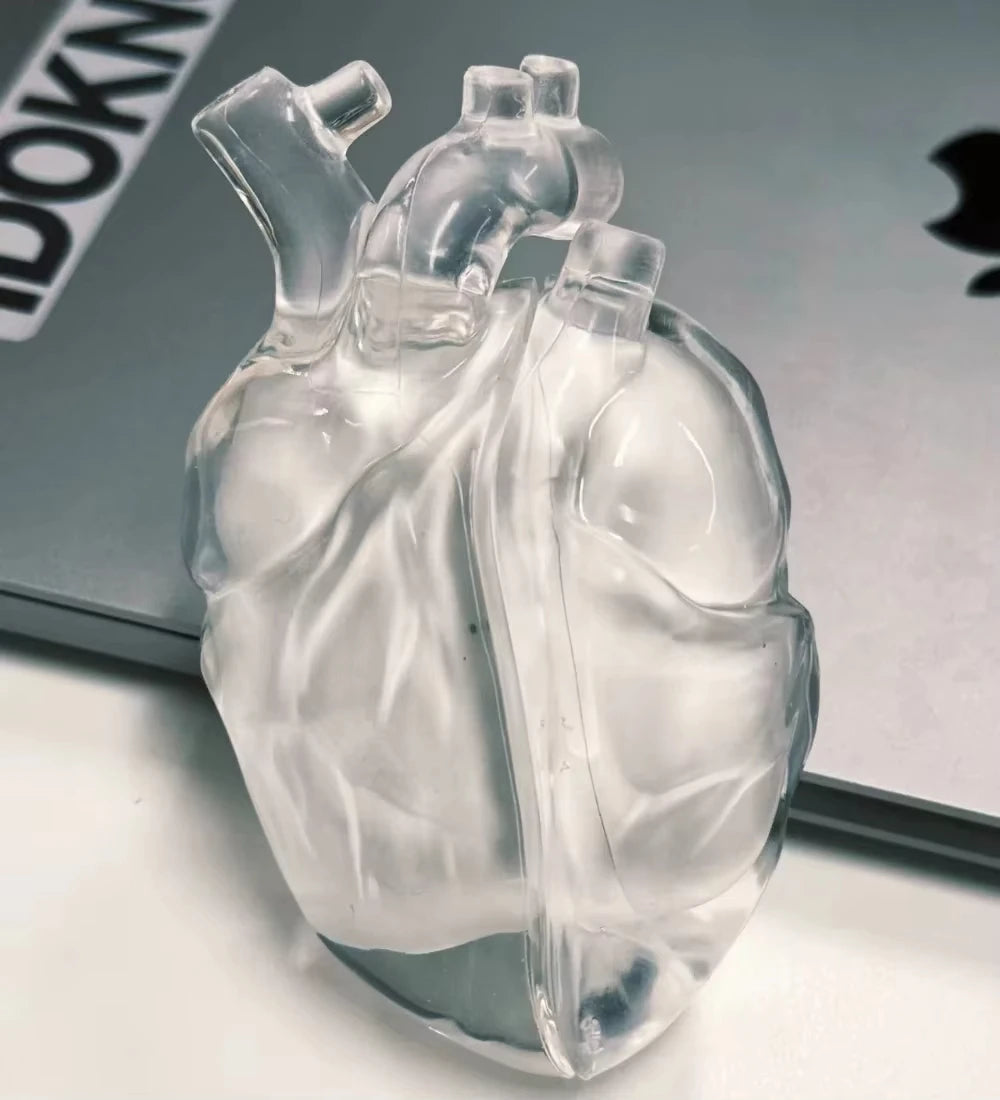 Realistic Heart Airpods Case