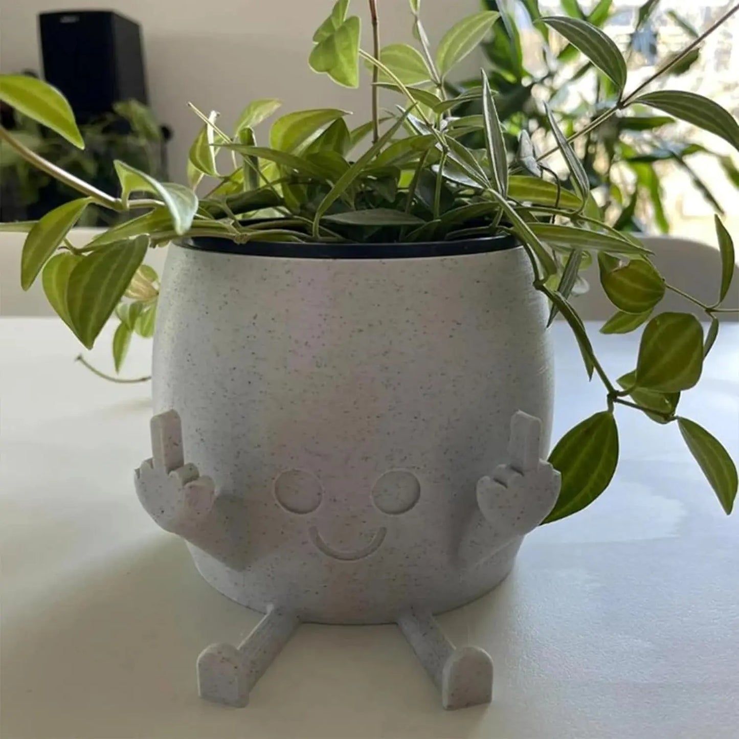 Smiling Plant Pot