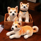 Lifelike Shiba Puppy Plushies