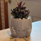 Smiling Plant Pot