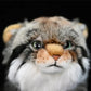 Realistic Pallas's cat Plushie