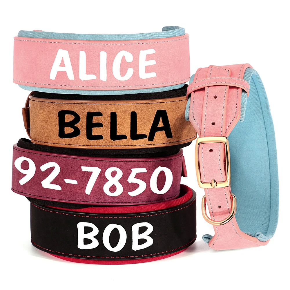 Custom Dog Collar