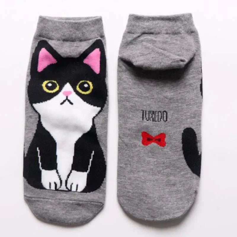 Cute Cat Ankle Socks (5 Pairs set)