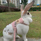 Comfy Rabbit Harness & Leash