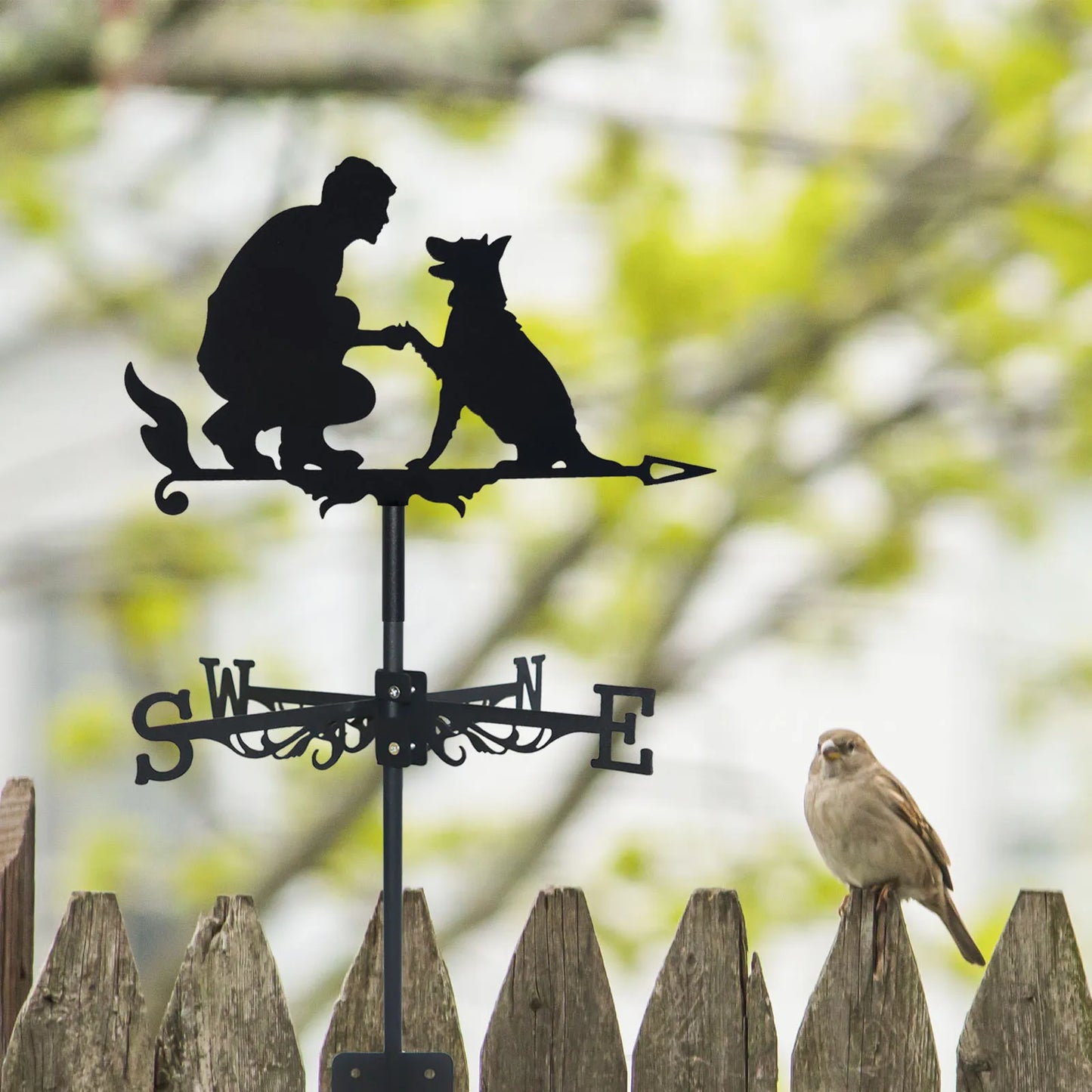 Belgian Malinois Weather Vane