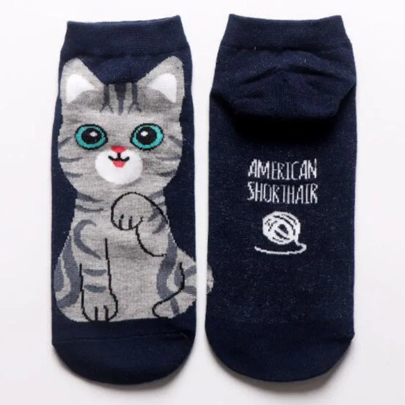 Cute Cat Ankle Socks (5 Pairs set)