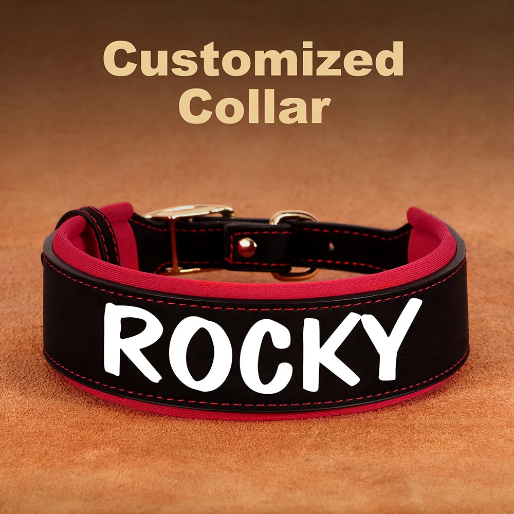 Custom Dog Collar