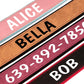 Custom Dog Collar