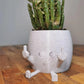 Smiling Plant Pot