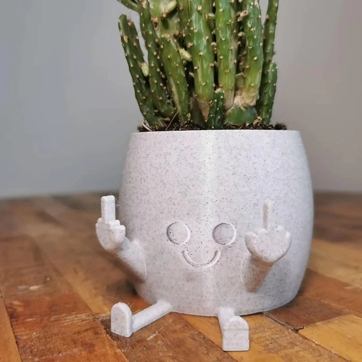 Smiling Plant Pot