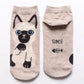 Cute Cat Ankle Socks (5 Pairs set)