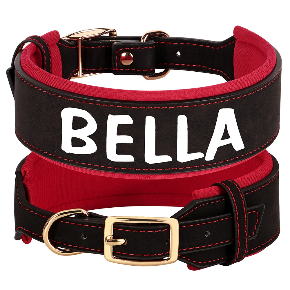 Custom Dog Collar