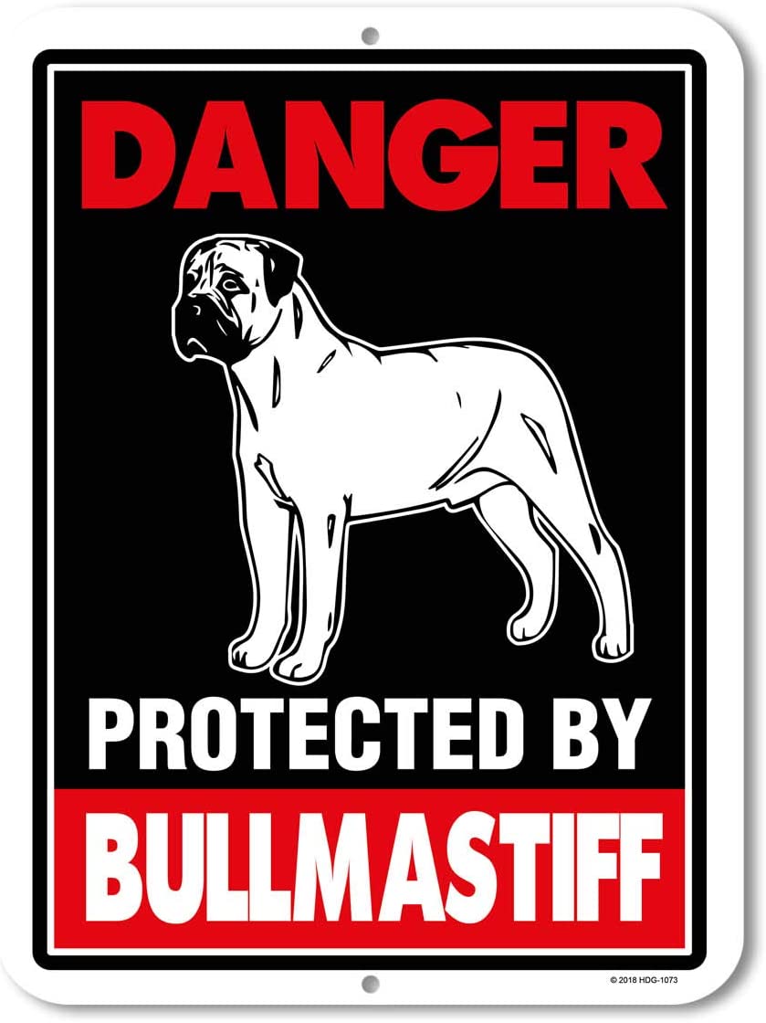 Danger Protected by Dog Warning Signs