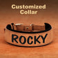 Custom Dog Collar