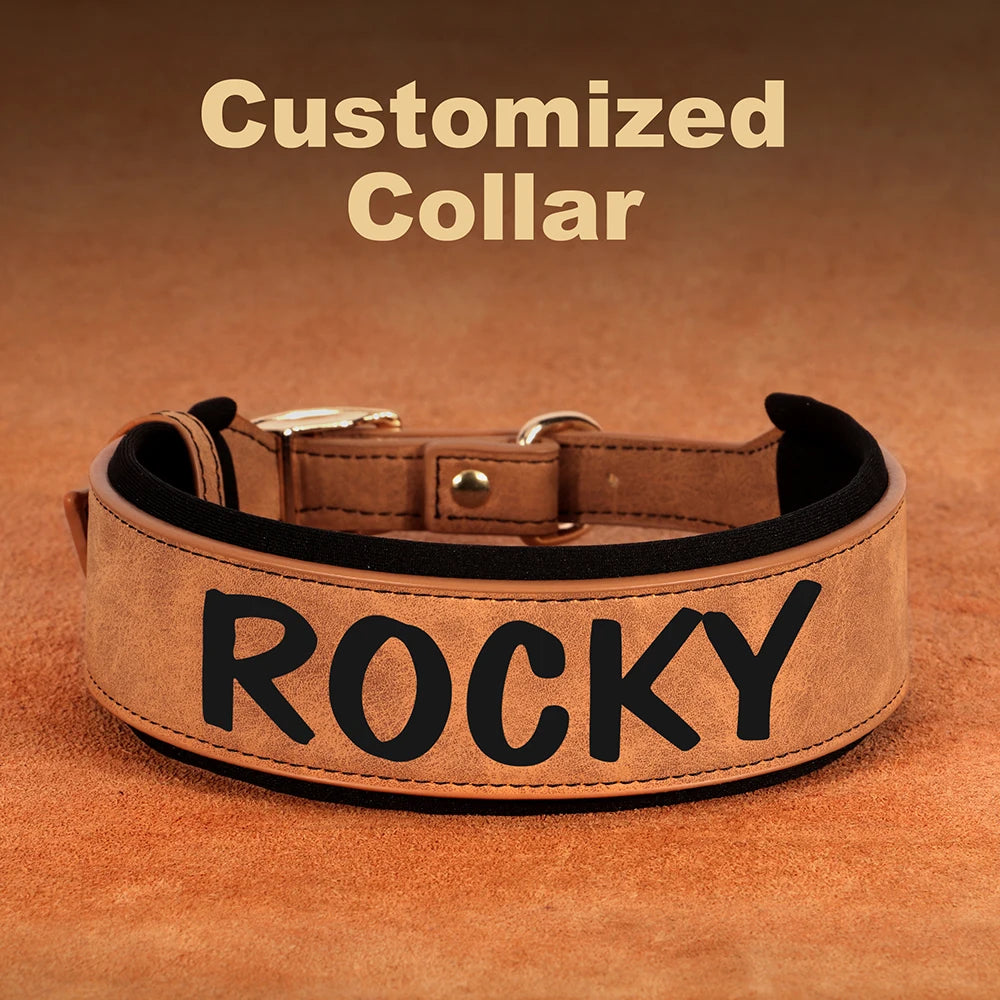 Custom Dog Collar