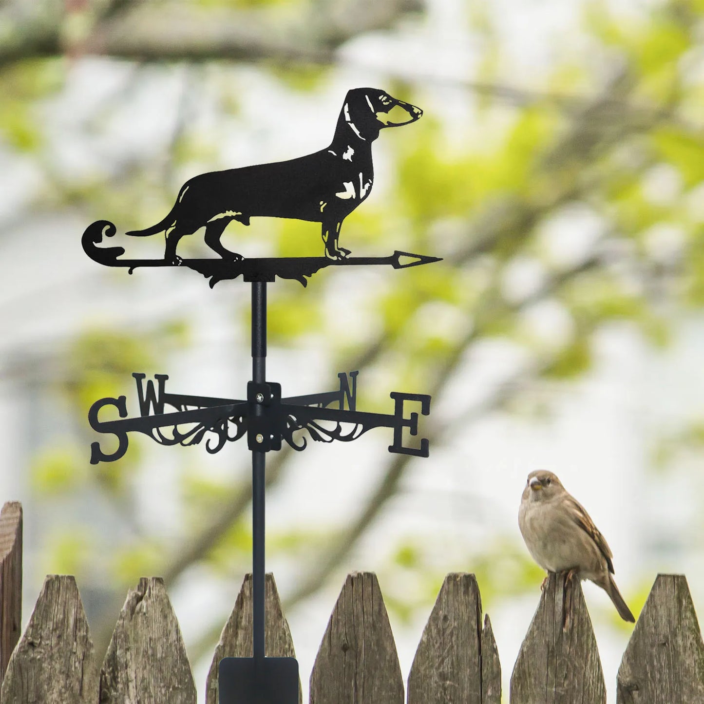 Dachshund Weather Vane