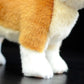 Realistic Shiba Inu plush