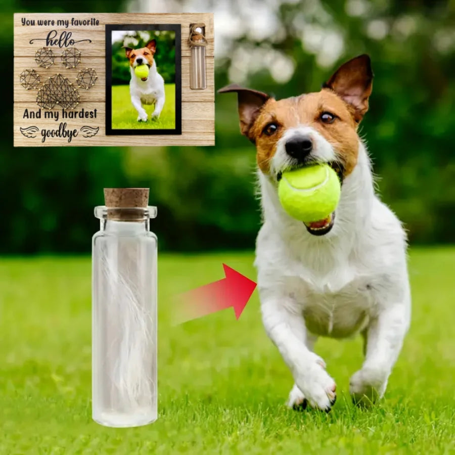 Brittany Spaniel Memorial Statue