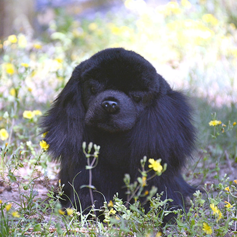 Realistic Cocker Spaniel Plushies