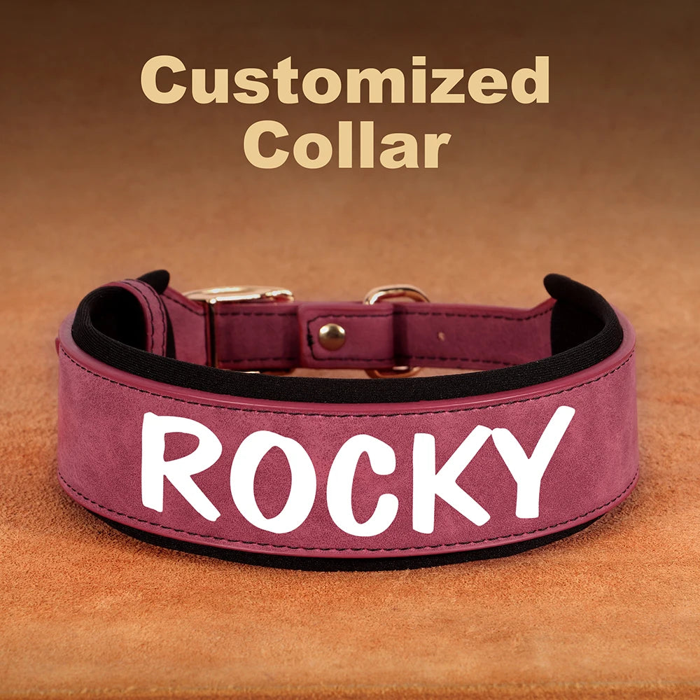 Custom Dog Collar