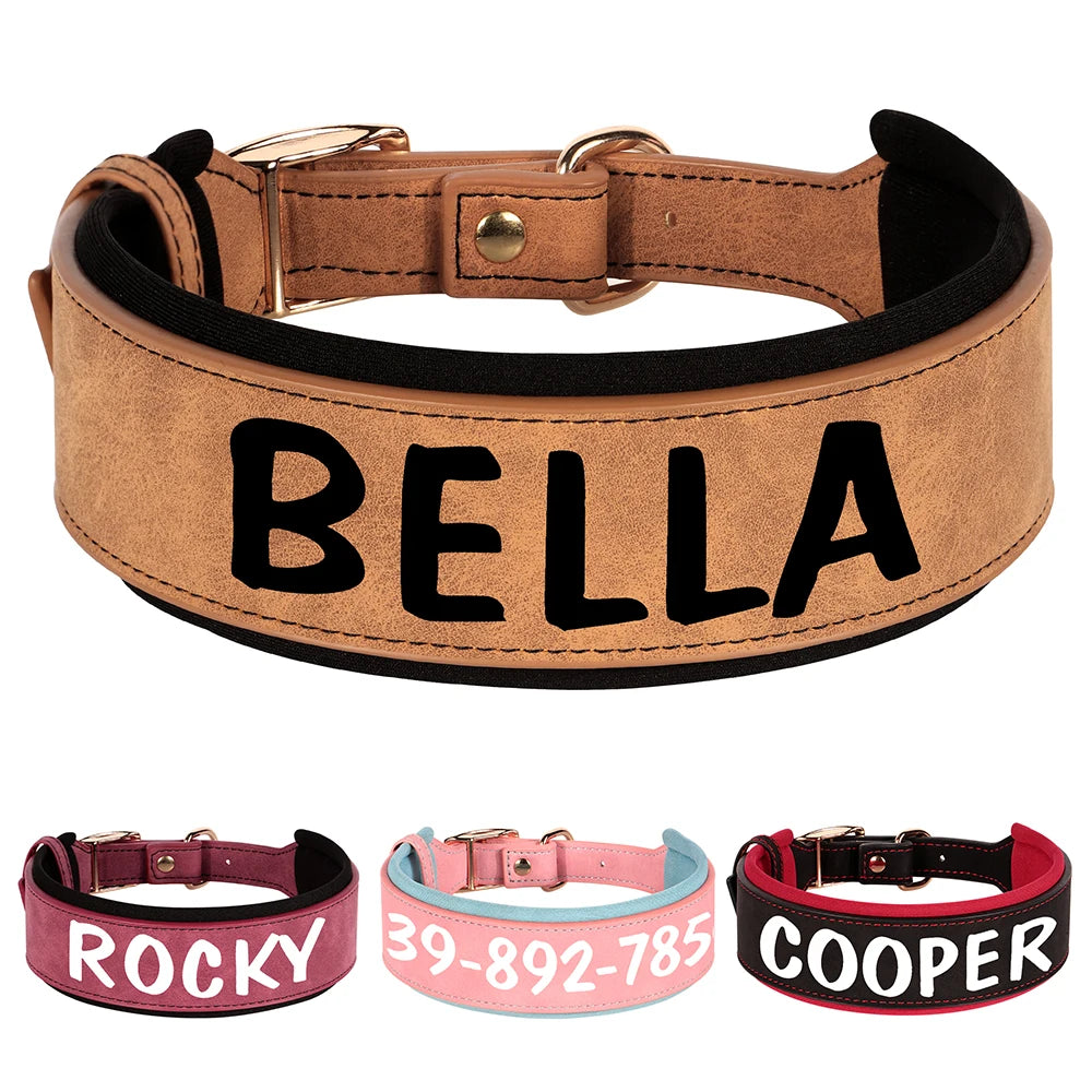 Custom Dog Collar