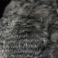 Realistic Pallas's cat Plushie