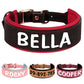 Custom Dog Collar