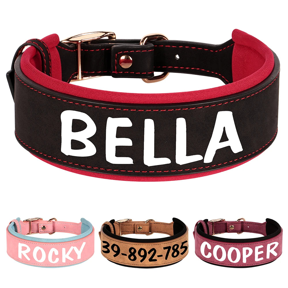 Custom Dog Collar