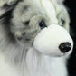 Realistic Sheltie Plushies