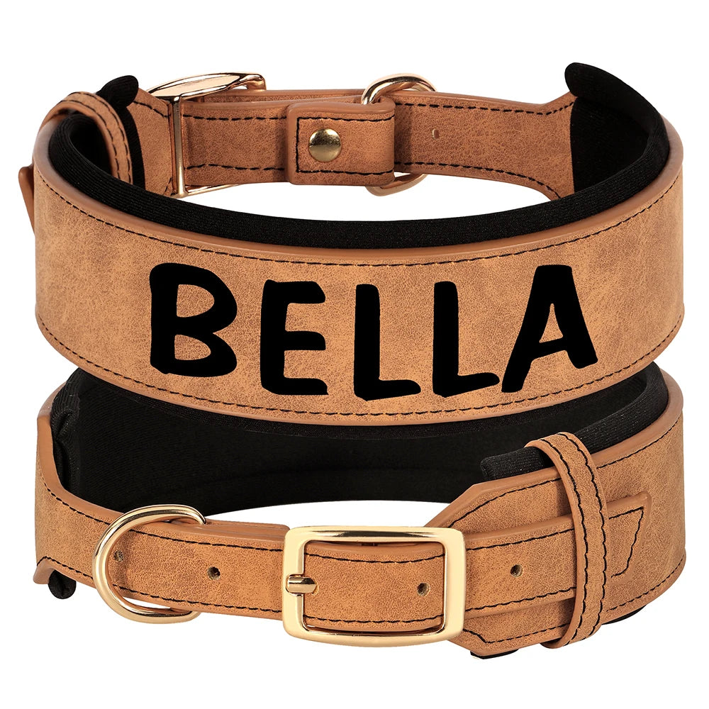 Custom Dog Collar