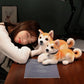 Lifelike Shiba Puppy Plushies