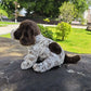 Realistic GSP puppy plushie