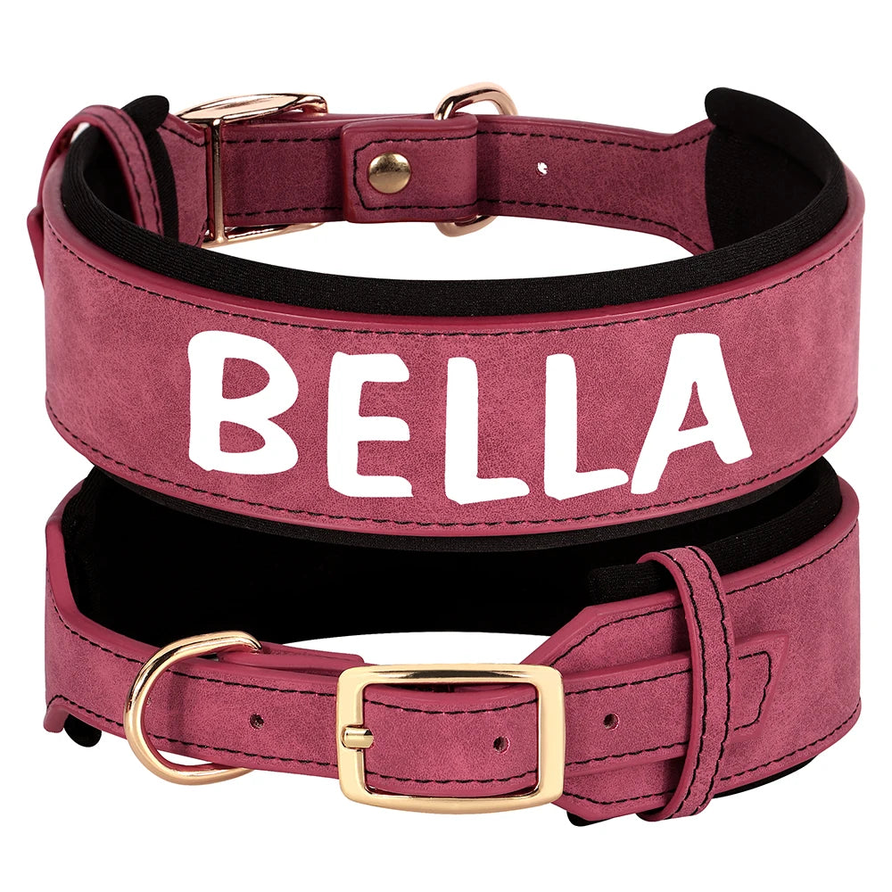 Custom Dog Collar