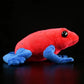 Realistic Frog Plushies - Central American Species