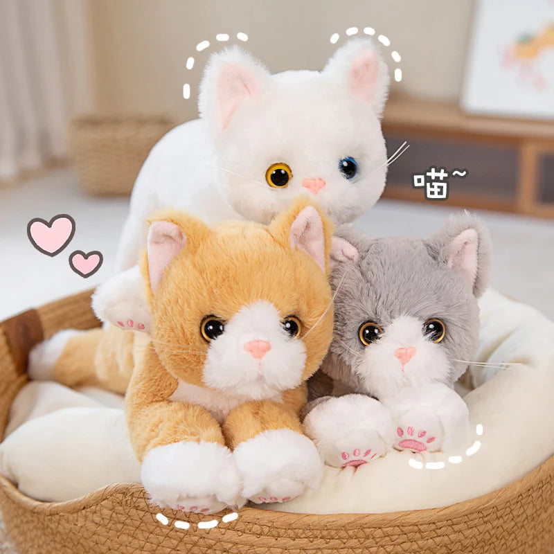 Realistic Cat Plushies