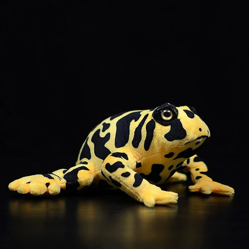 Realistic Frog Plushies - Central American Species