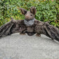 Realistic Bat plushie by SB