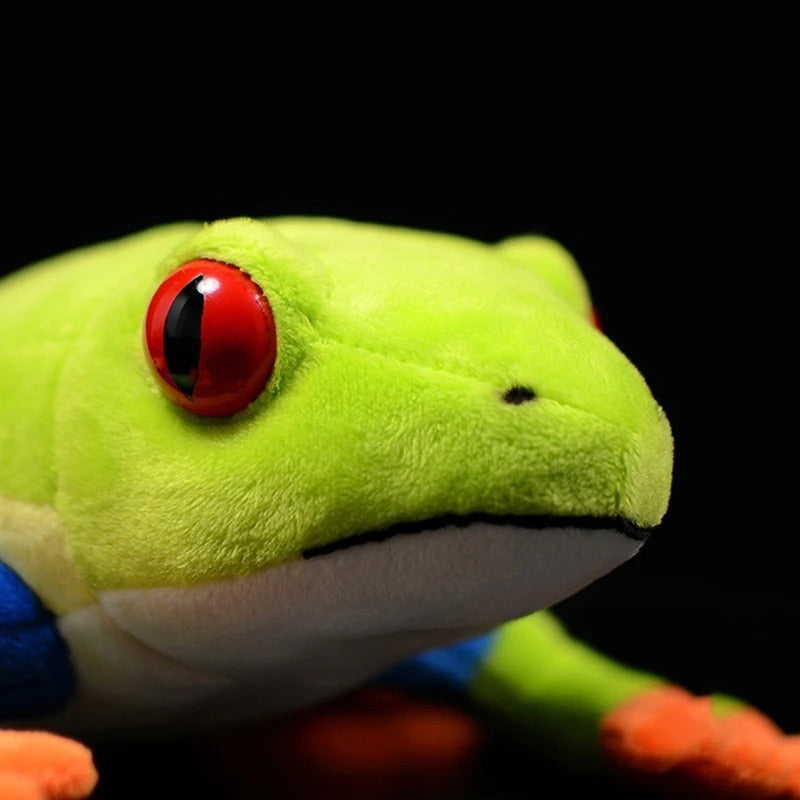 Realistic Frog Plushies - Central American Species