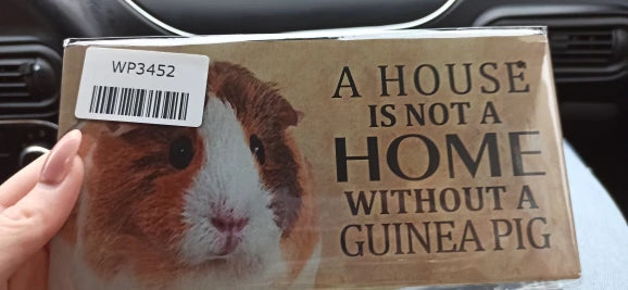 "A house is not a home without a Guinea Pig" Hanging sign - Style's Bug