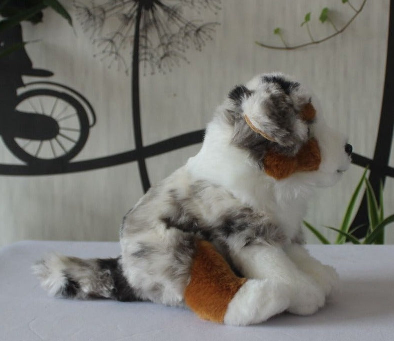 Soft Realistic Australian Shepherd plushies - Style's Bug