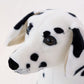 Dalmatian plushies by Style's Bug - Style's Bug