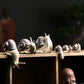 Realistic Snail ornaments - Style's Bug All the six Snails - 20% OFF