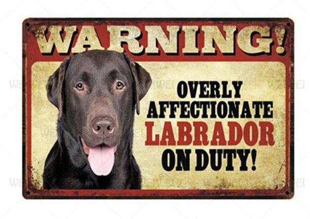 Overly Affectionate Dog Warning signs - Style's Bug Labrador - Chocolate